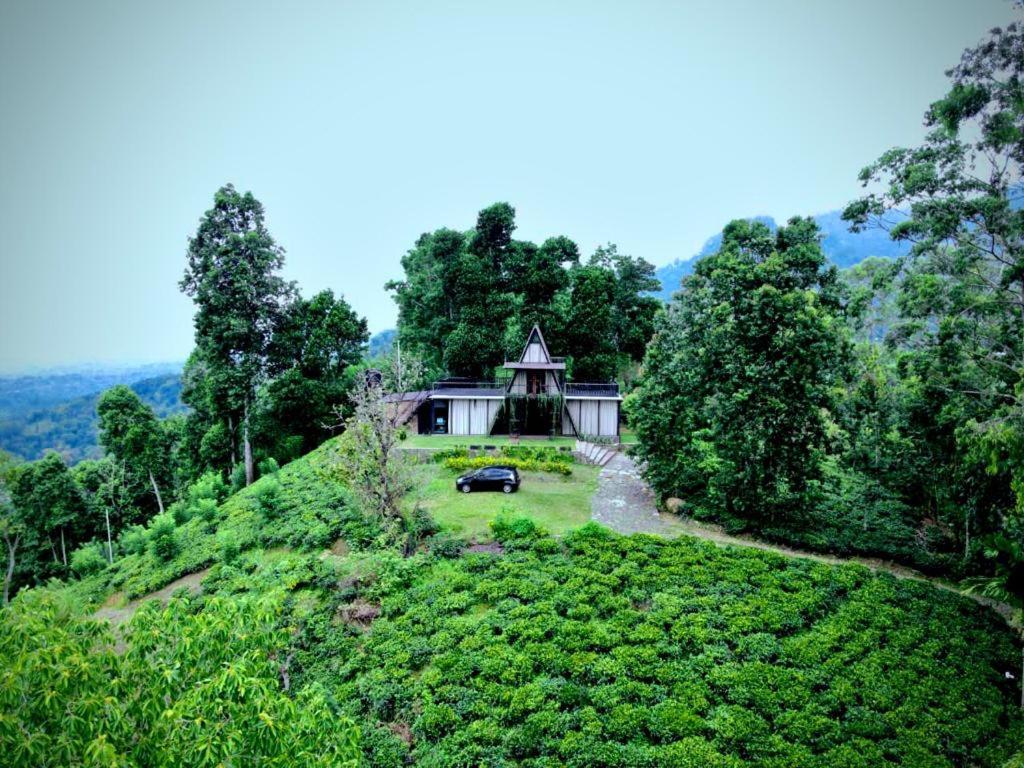 The Backyard 巴朗戈德 外观 照片