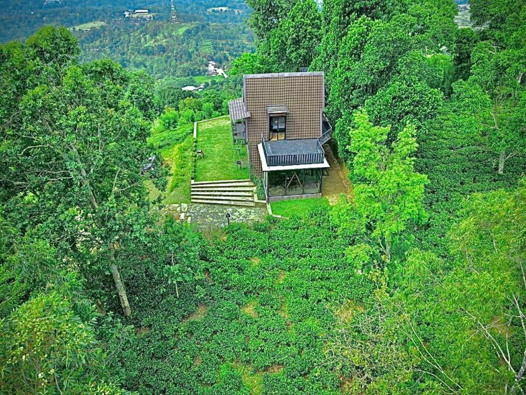 The Backyard 巴朗戈德 外观 照片